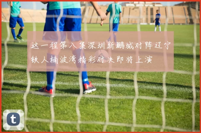 这一程第八集深圳新鹏城对阵辽宁铁人楠波湾精彩对决即将上演